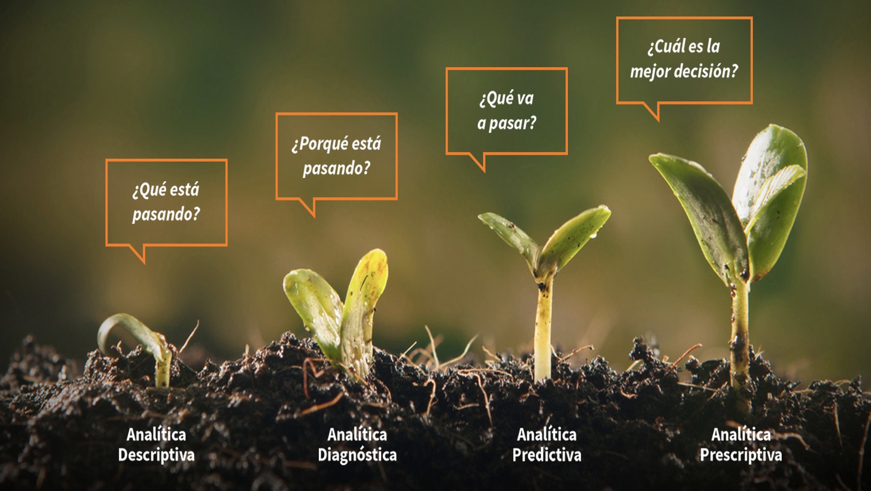 Big Data vs. BI vs. Analytics: Diferencias y Usos